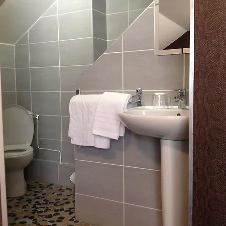 Alp'hotel * Voreppe