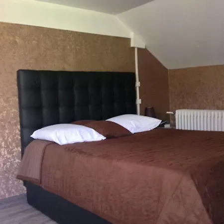Alp'hotel * Voreppe